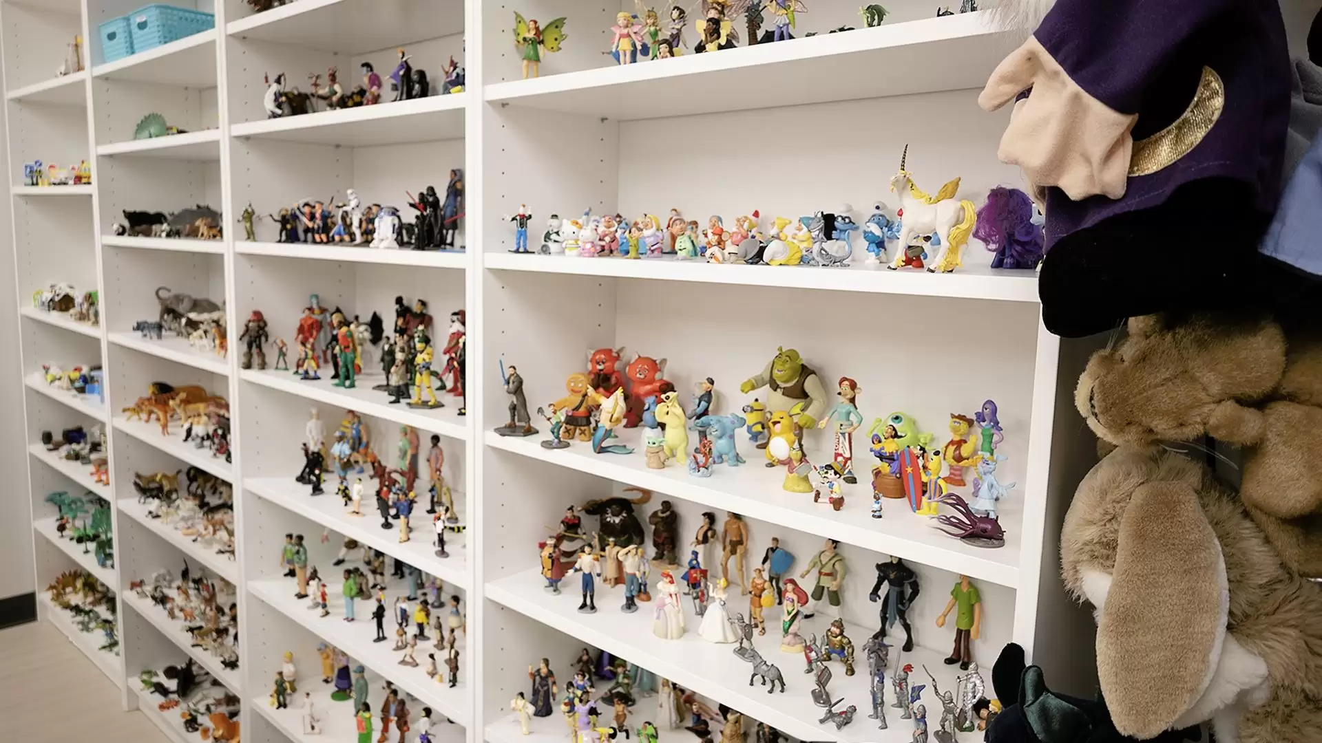 Playroom figurines displayed on white bookshelves.