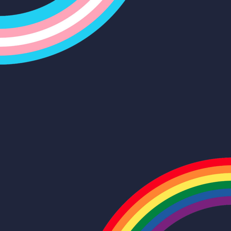 Queer and Trans Gender and Sexuality Flag Colours